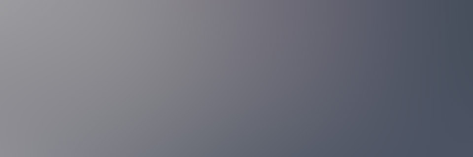 Project screenshot